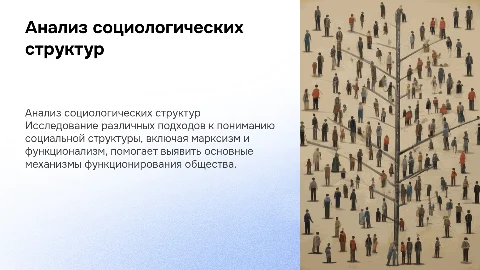 Исследование структуры в социологических направлениях