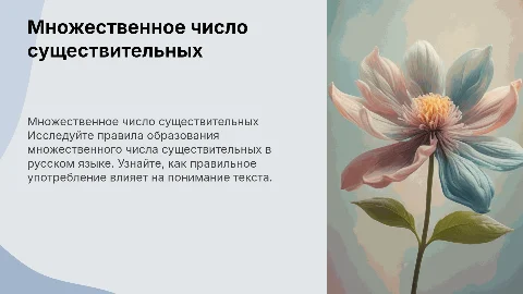 Употребление существительных во множественном числе