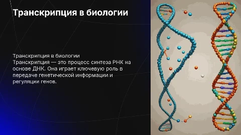транскрипция биология