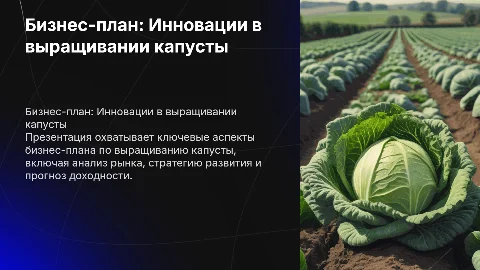 Бизнес-план презентация о капусте