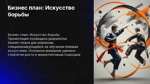 Бизнес план "Борьба"