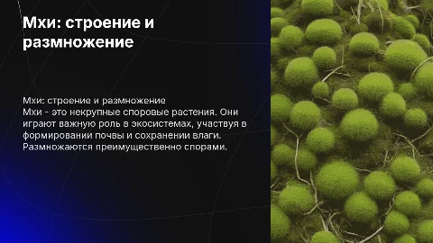 Мхи: характеристика, строение и размножение