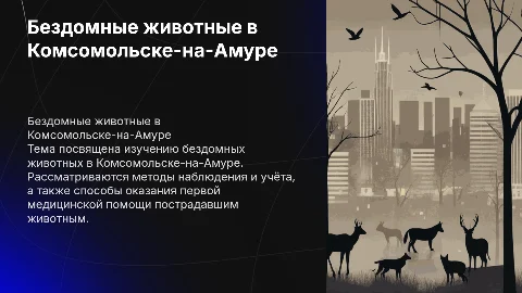 Бездомные животные в Комсомольске-на-Амуре: решение проблемы