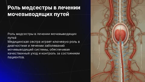 Роль медицинской сестры в лечебно-диагностическом процессе