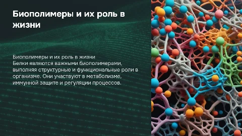 Биополимеры. Белки, их функции