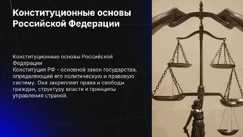 Конституционные основы РФ