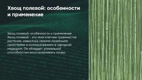 Хвощ Полевой