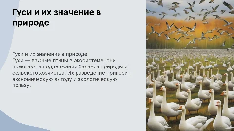 гуси рассказ про них какую пользу приносят и т.д
