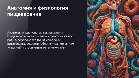 Анатомия и физиология пищеварительной