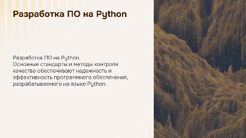 Разработка ПО на Python: стандарты и контроль качества