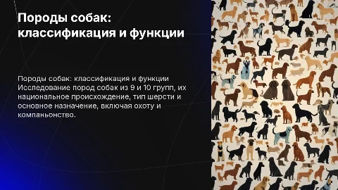 Породы собак 9 и 10 группы: классификация и особенности