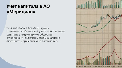 Бухгалтерский учет капитала в АО «Меридиан»