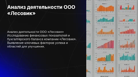 Анализ деятельности ООО «Лесовик» на основе бухгалтерского баланса