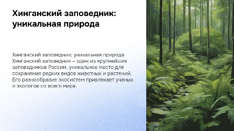 Хинганский заповедник