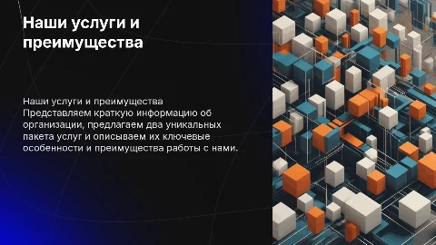 Краткая информация об организации и пакеты услуг