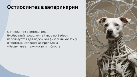 Остиосинтез с серкляжной проволокой: шов по Веберу в ветеринарии
