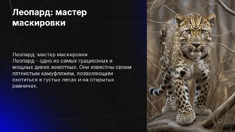 Леопард
