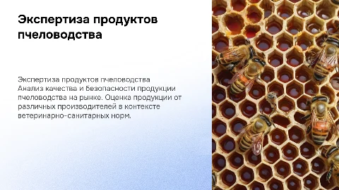 Ветеринарно-санитарная экспертиза продуктов пчеловодства