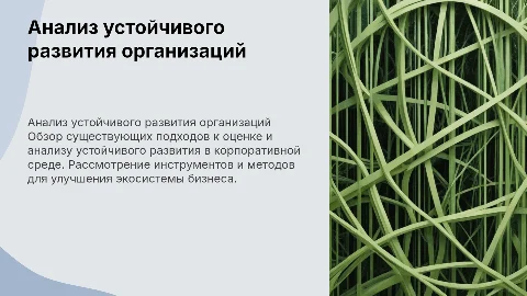 Анализ устойчивого развития организаций: подходы и методы