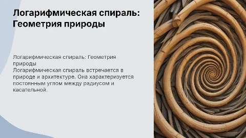 логарифмическая спираль