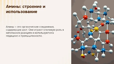 Амины: строение, свойства и применение