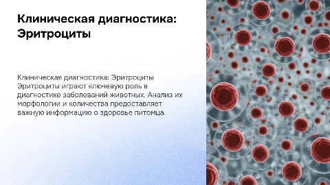 Клиническая диагностика в ветеринарии. Эритроциты
