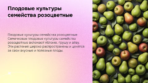 плодовые культуры семейство розоцветные семечковые
