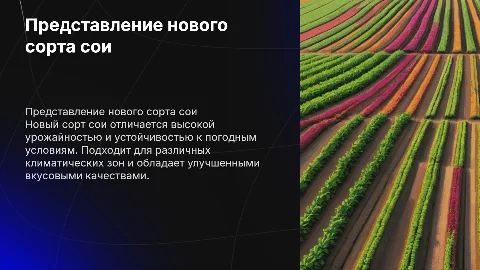представление сорта сои