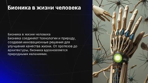 Бионика в жизни человека