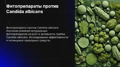 Влияние фитопрепаратов на Candida albicans