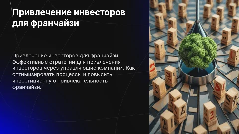 Привлечение сторонних инвесторов для франчайзи