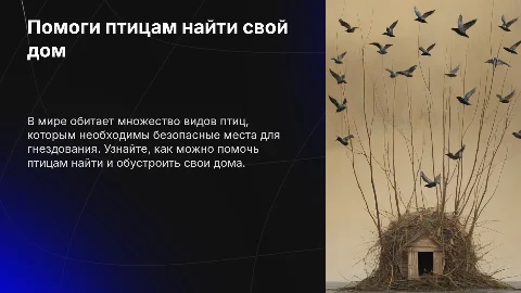 Помоги птицам найти свой дом