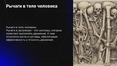 рычаги в организме человека физика 7 класс