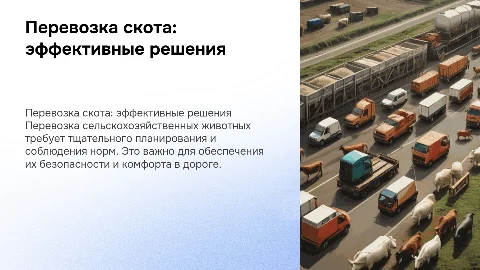 Перевозка скота: эффективные решения для фермеров