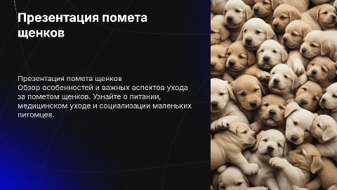Презентация помета собак (щенков)