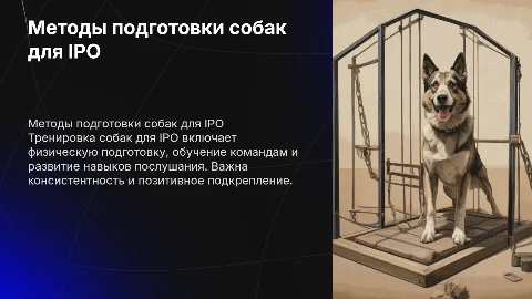 методы подготовки собак для IPO