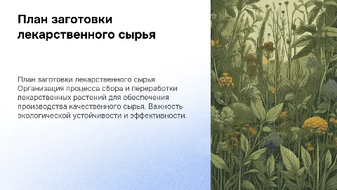 План организации по заготовке и переработке лекарственного сырья