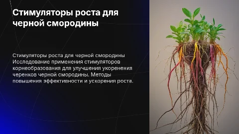 Применение стимуляторов роста для черенкования смородины