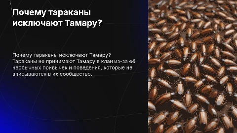 почему тараканы не принимают тамару в клан?