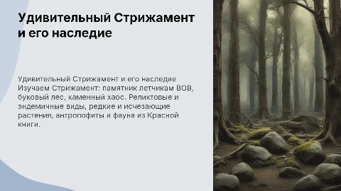 Удивительный Стрижамент: памятник летчикам ВОВ и природа