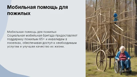 Социальная мобильная бригада для пожилых и инвалидов 65+