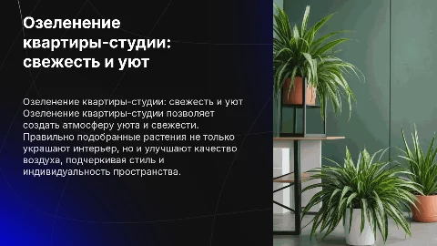 озеленение квартиры студии