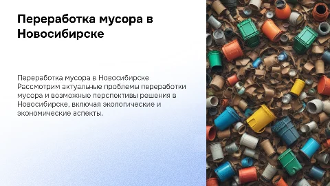 Переработка мусора: проблемы и перспективы в г. Новосибирске