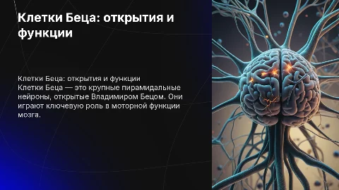Клетки Беца: презентация по гистологии и открытиям