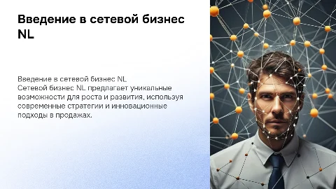 Сетевой бизнес NL
