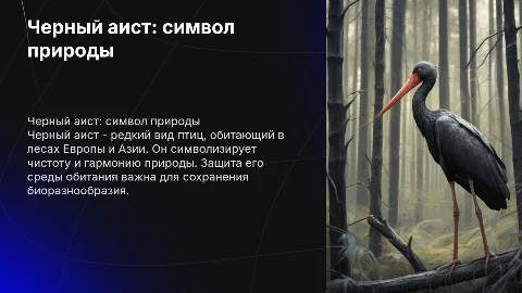 Черный аист