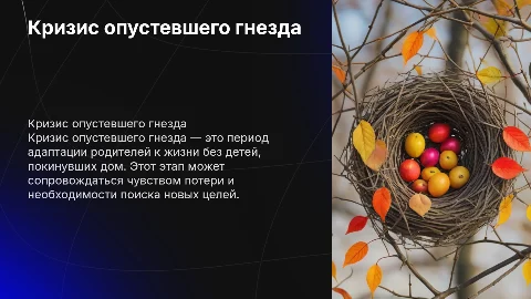 кризис опустевшего гнезда