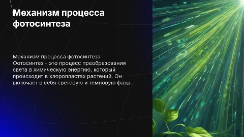 Механизм процесса фотосинтеза