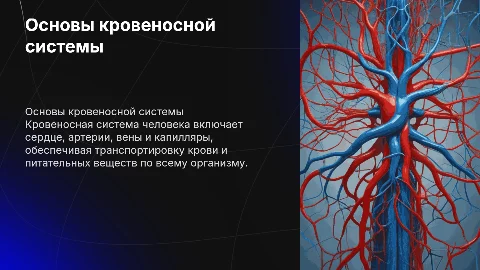 Кровеносная система