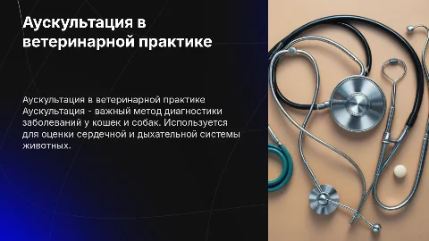 Аускультация у кошек и собак